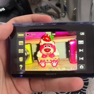 SONY Digital Camera DSC-T110 16.1MP Cyber Shot 4x Optical Zoom