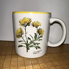 Kengsington Gardens Chrysanthemum Mug By Signature Housewares Inc Japan Vtg