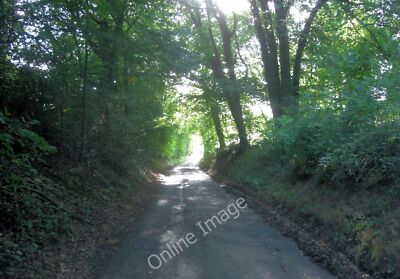 Photo 12x8 Lane exits Dark Copse, Upper Basildon Quick's Green  c2011
