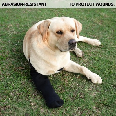 1Pc Dog Socks to Prevent Licking Paws Dog Recovery Sleeve Socks Healings Boot