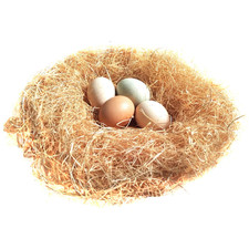 100G/3.5Oz Natural Grass Nesting Pads for Chicken Hens Birds Nest Bedding