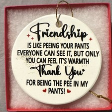 Friendship Gag Ornament with Humorous Quote, Pink Multicolor