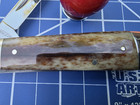 Case XX 1979 A6235 1/2 Torpedo Jack  Appaloosa smooth bone Pocket Knife — photo 9