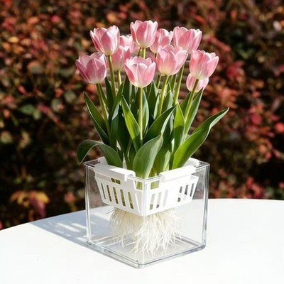 Root Check Basket Tulpe Grow Kit Kunststoff Pflanzkörbe Zwiebelpflegesystem