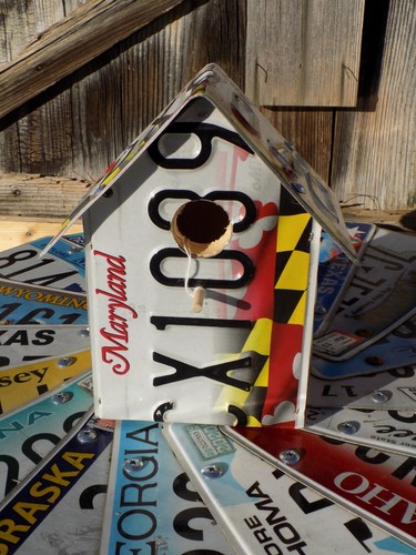 Targa bandiera di stato Maryland MD Bird House ~ spedizione gratuita veloce ~ - Foto 14 di 15