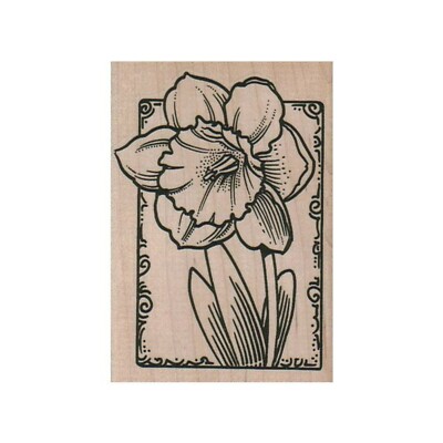 NEW Framed Daffodil RUBBER STAMP, Flower Stamp, Nature Stamp 