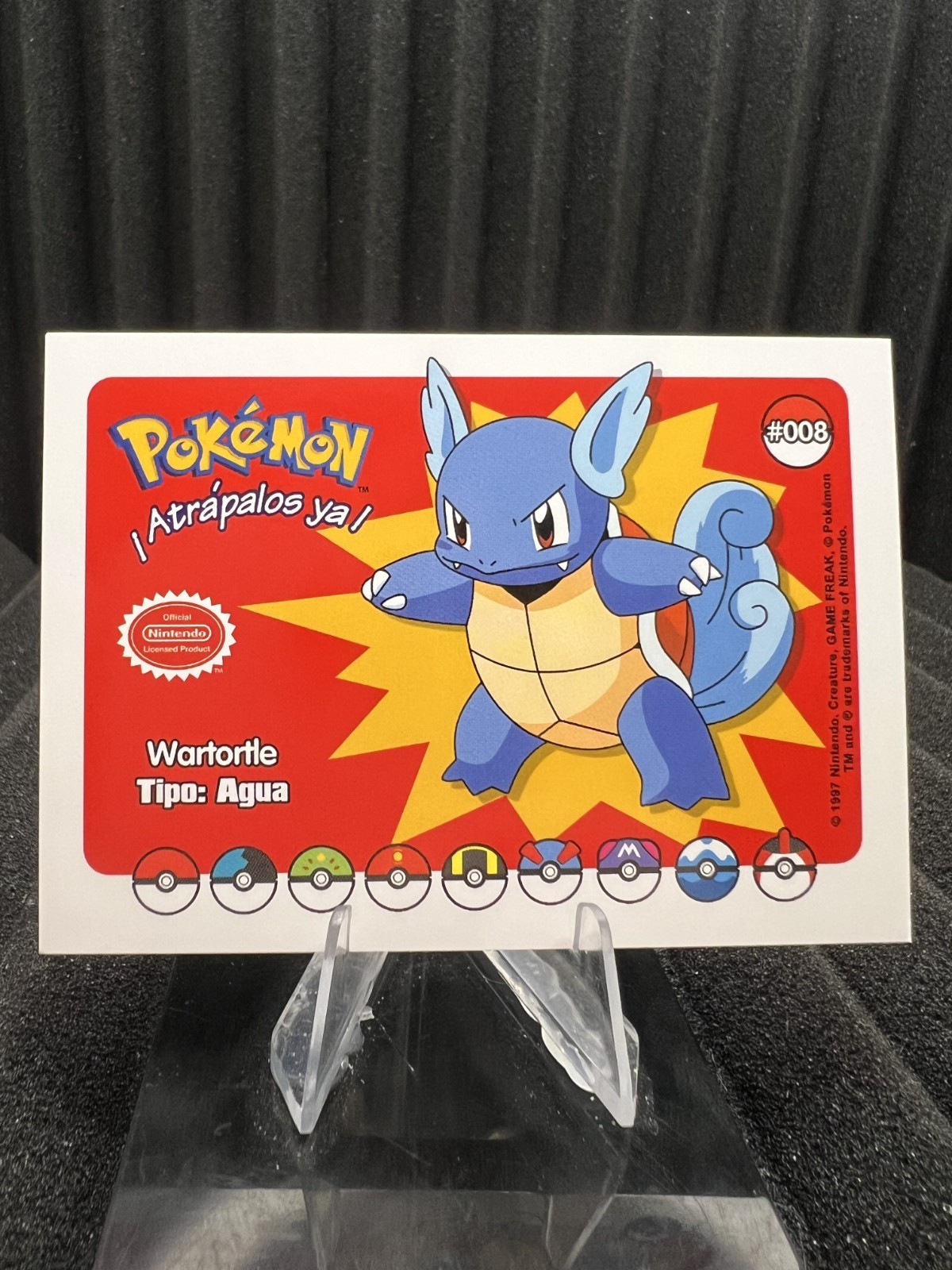 Wartortle #8 - Who's That Pokemon 2025 - Pokemon Card NM