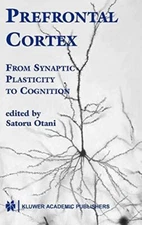 Prefrontal Cortex: From Synaptic Plasticity to Cognition (2004)