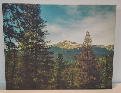 Canvas Print 11x16 - Heizer Trail, Cascade, CO - 35mm Photography