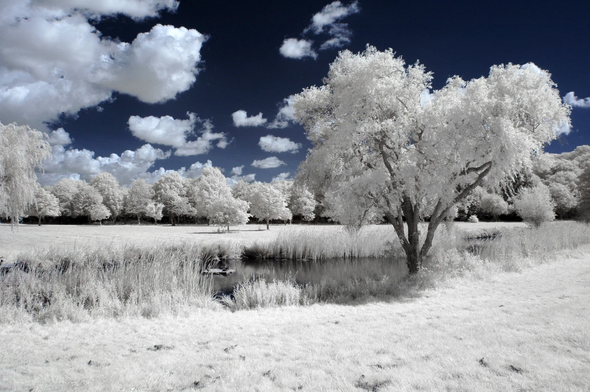 720nm infrared