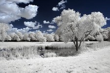 Nikon D50 Infrared Conversion Service. Infrared 720nm. Infrared photography IR.
