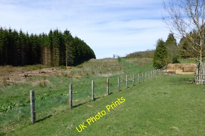Photo 6x4 Timber operations High Angerton With ewe maternity ward on the  c2015