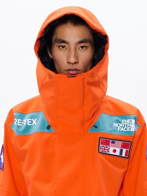 THE NORTH FACE Trans Antarctica Parka NP62238 GORE-TEX THE NORTH FACE Trans Antarctica Parka NP62238 GORE-TEX