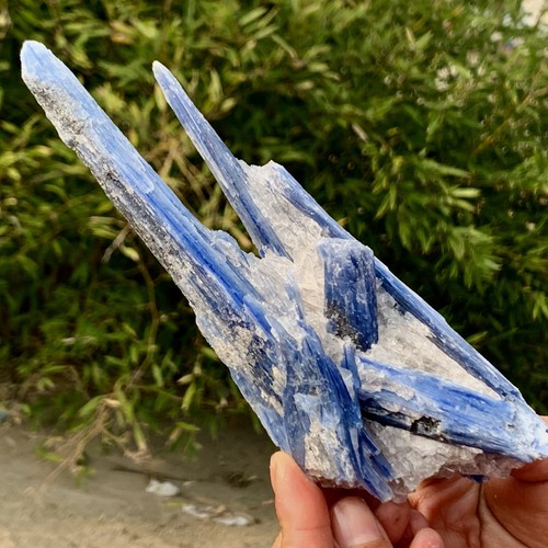 371G Rare!! Natural beautiful Blue KYANITE with Quartz Crystal Specimen Rough - Picture 12 of 20