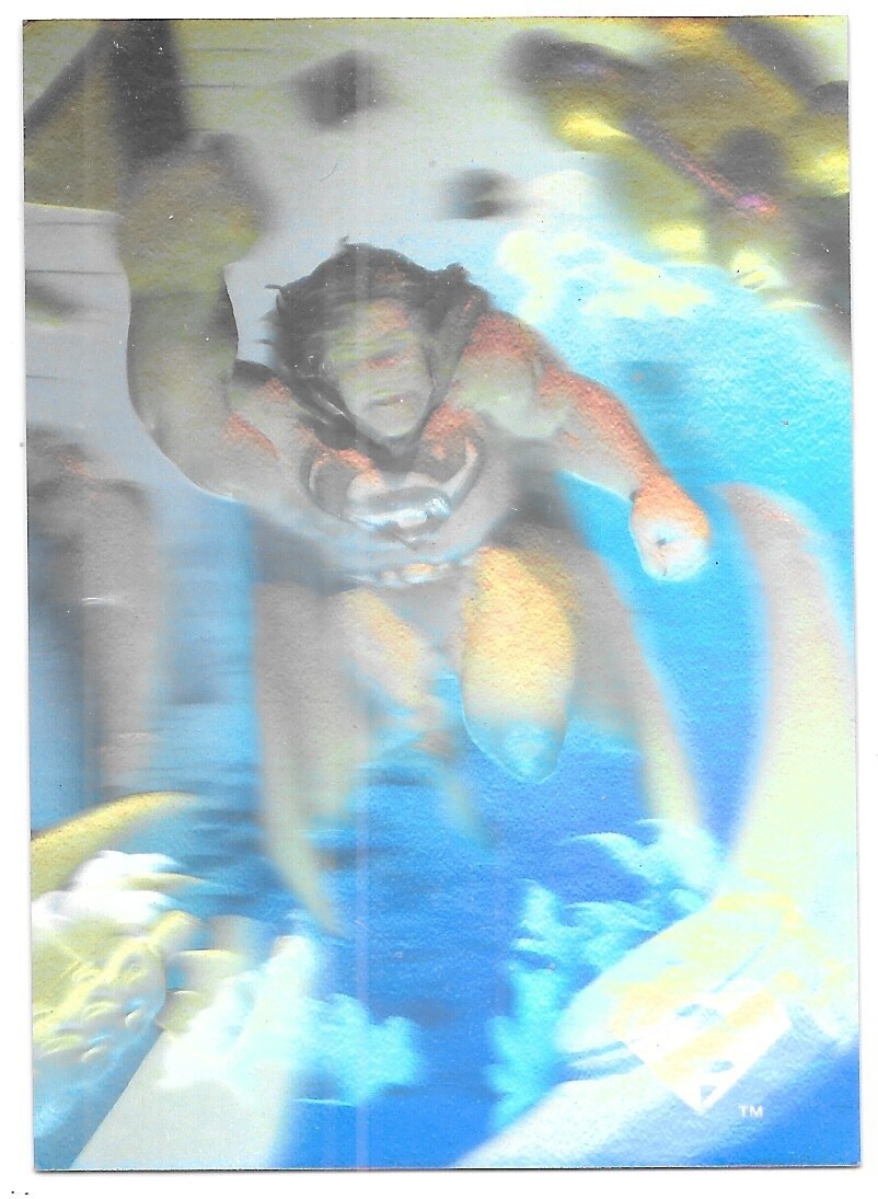 Picture 4 of 19