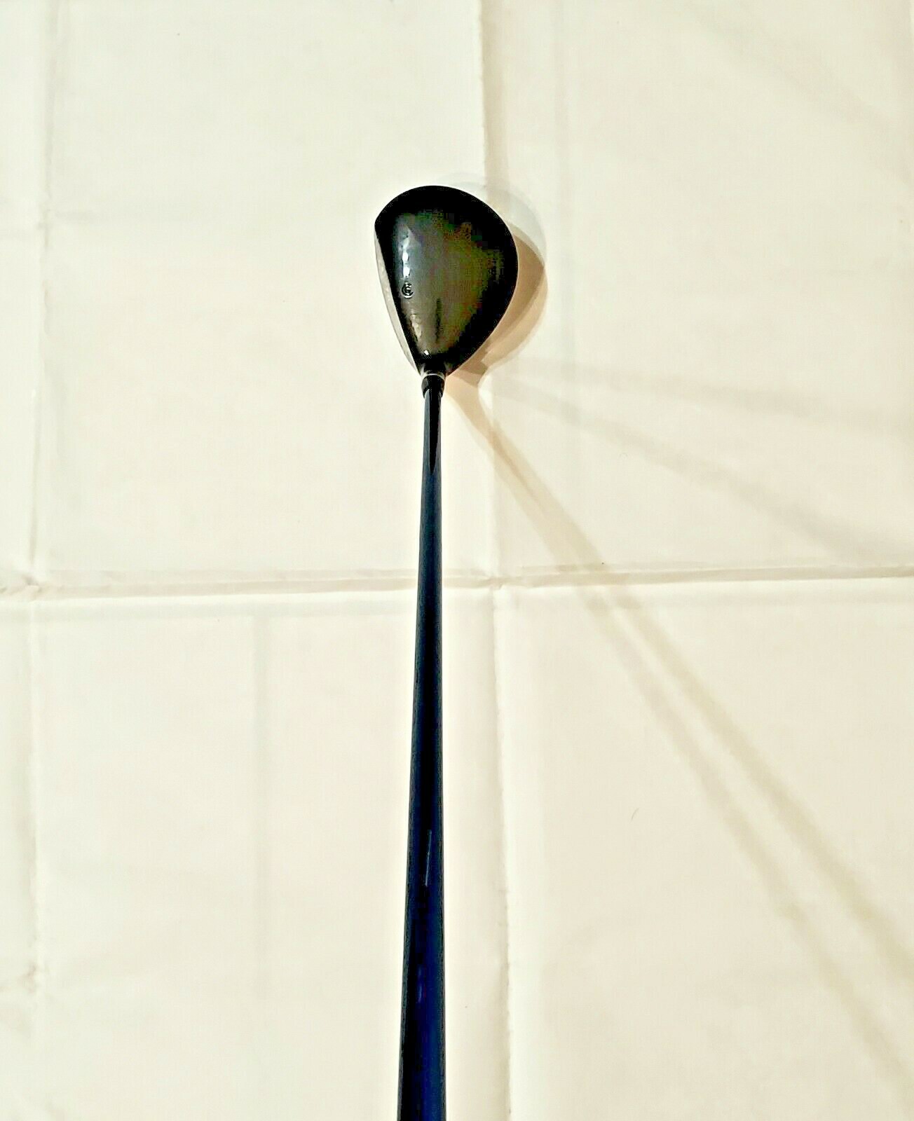 Foto 7 di 12