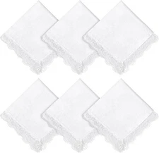 6pcs Lace Handkerchiefs for Women Ladies Hankies Elegant Embroidery Pure... 