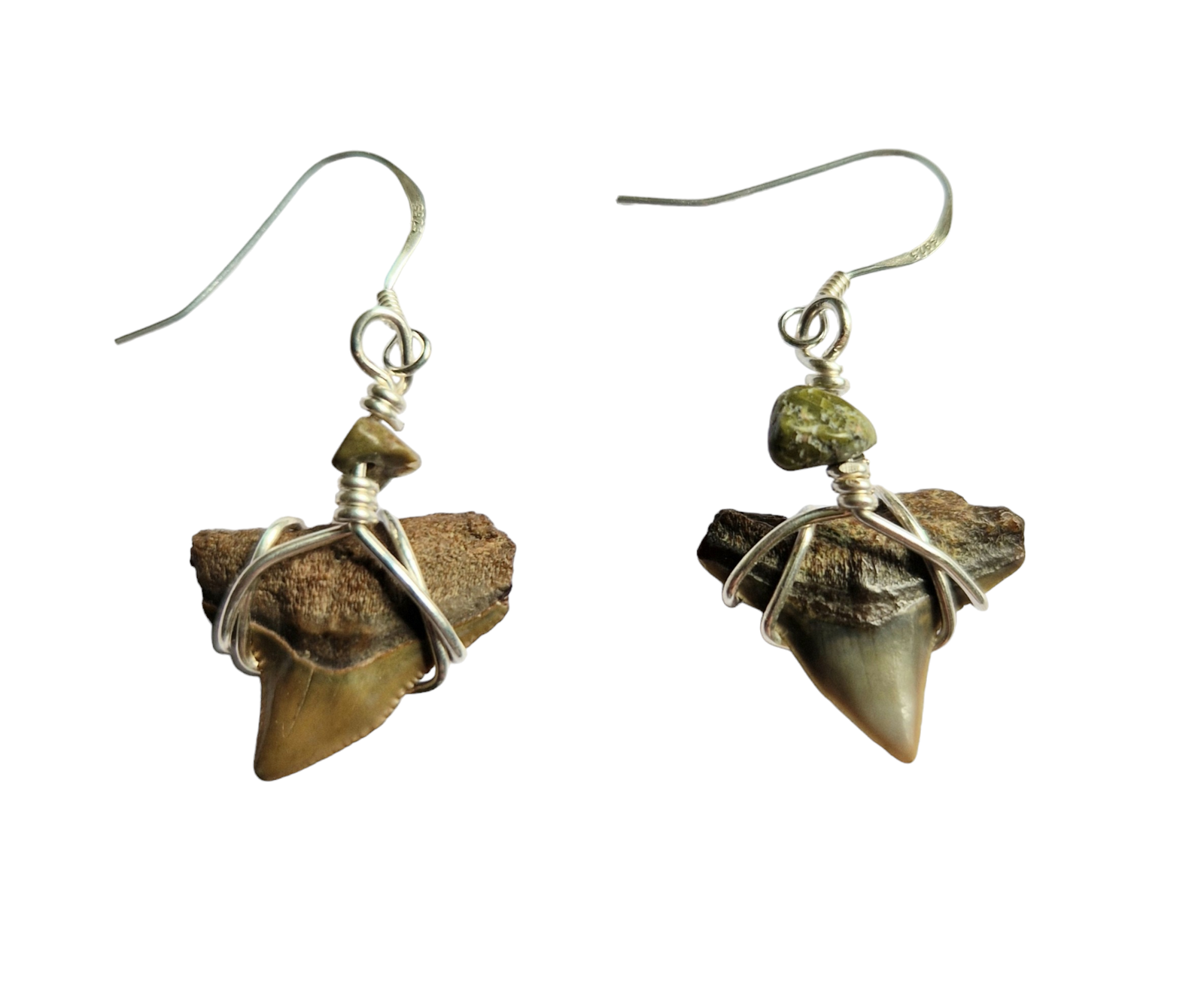 Fossil Bull Shark Tooth Earrings  - Stunning Double Box Presentation