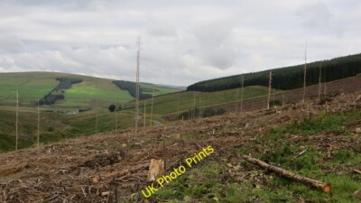 Photo 6x4 Felled area Crawfordjohn Recently harvested conifer block above c2014