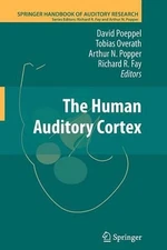 The Human Auditory Cortex by David Poeppel (English) Paperback Book