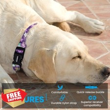 Nylon E Collar Strap 3/4" In Ground Fence Compatible Medium Rainbow