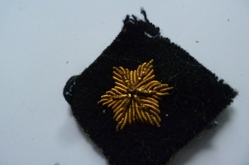 WW2 1st Battalion East Surrey Regiment Flash Formation Sign Badge Handmade Org - Picture 9 of 12