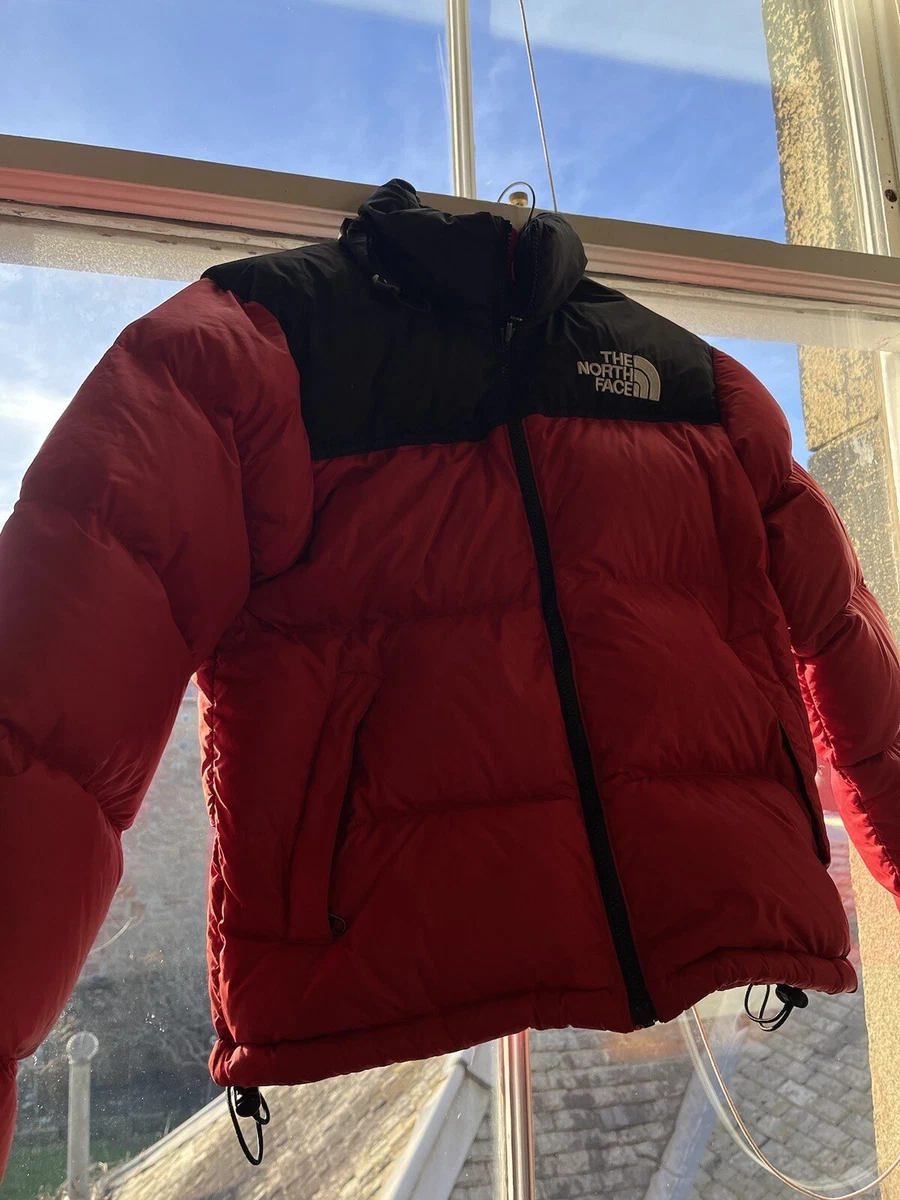 North cheap face immaculator
