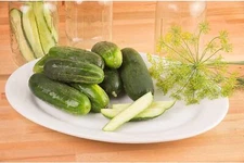 Max Pack F1 Hybrid Cucumber Seed