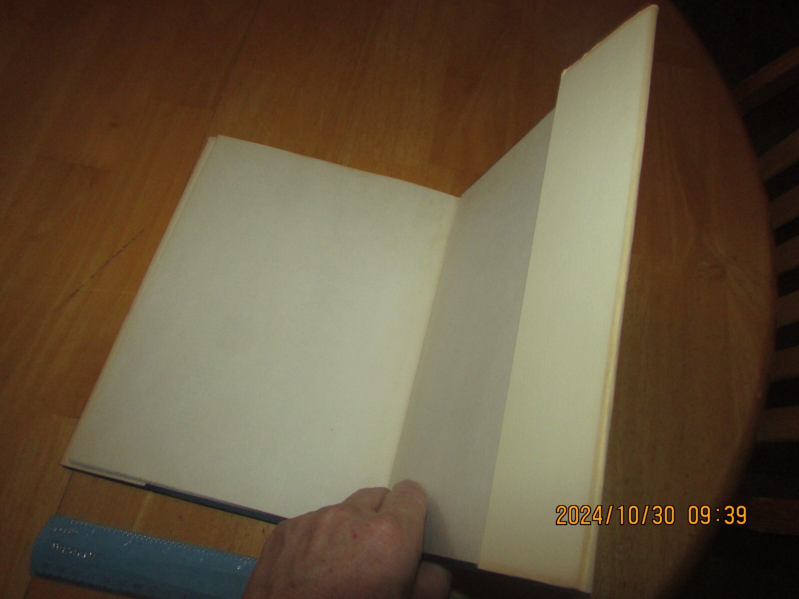 Bild 10 von 11