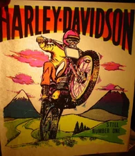HARLEY DAVIDSON VINTAGE 1970's MOTOCROSS IRON ON TRANSFER NICE B-20