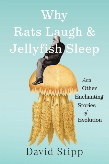 Why Rats Laugh and Jellyfish Sleep by David Stipp (Hardback Book)