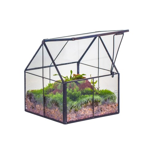 Mini Glass Terrarium with Lid  Small Geometric Planter for Succulents Decor