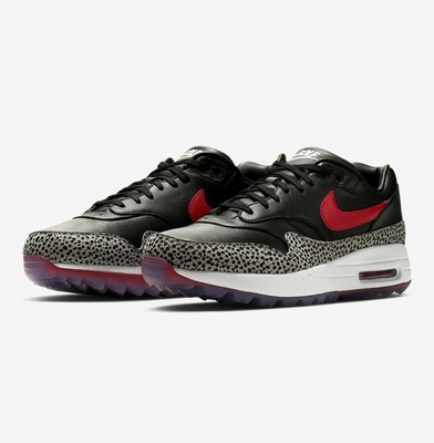 am1 safari