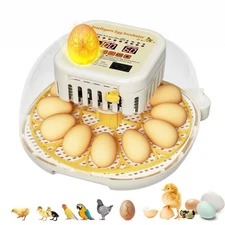 Egg Incubators for Hatching Eggs,12 Egg Incubator with Auto Egg Turning Humidity