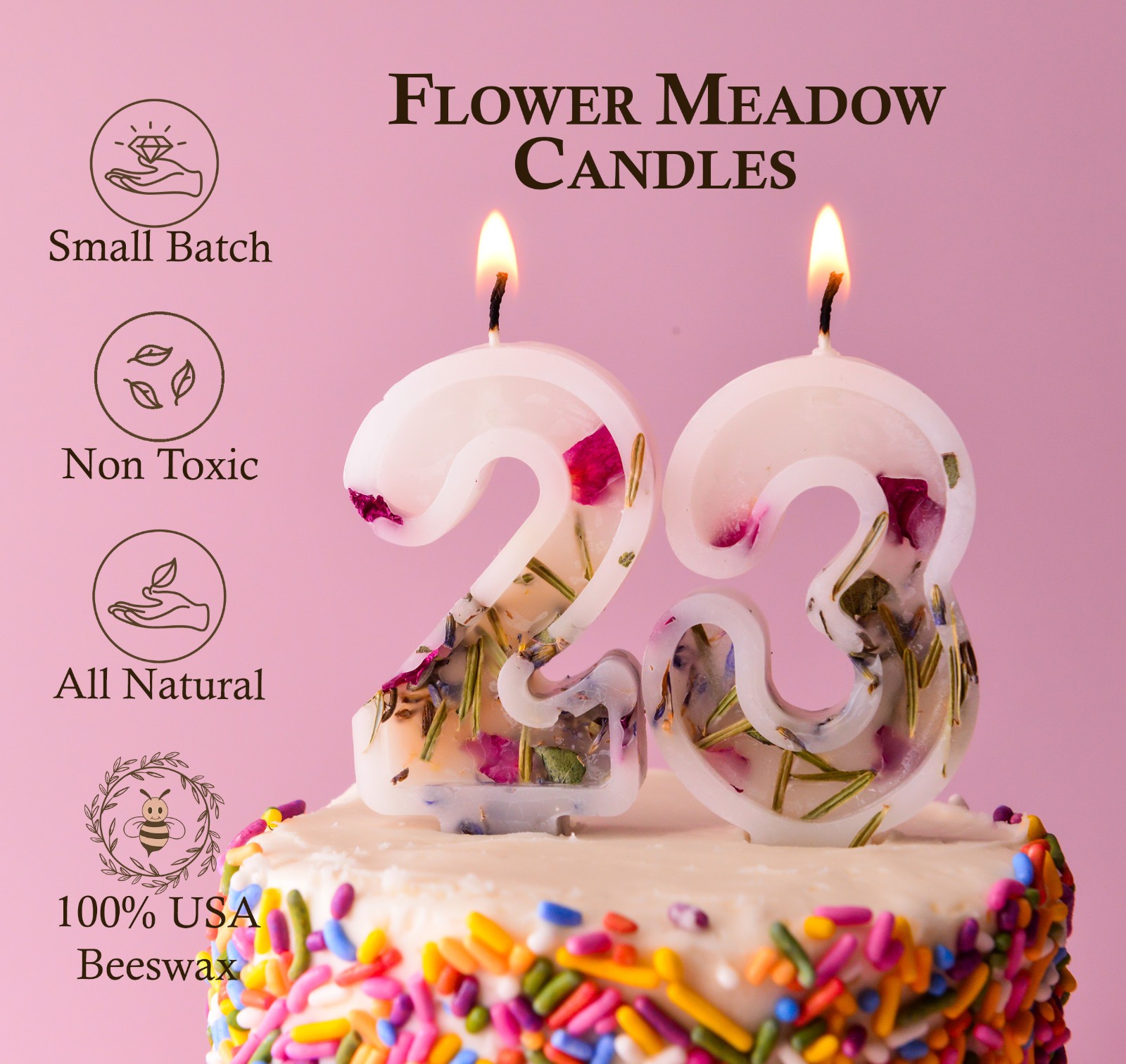 With Dried Plants Nontoxic | Anniversary