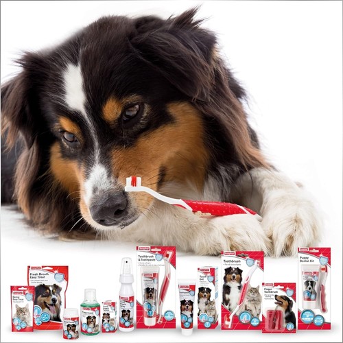 Beaphar, Advanced Dual-Enzyme Toothpaste, Dental Care for Dogs & Cats, 100g Tube - Picture 2 of 7