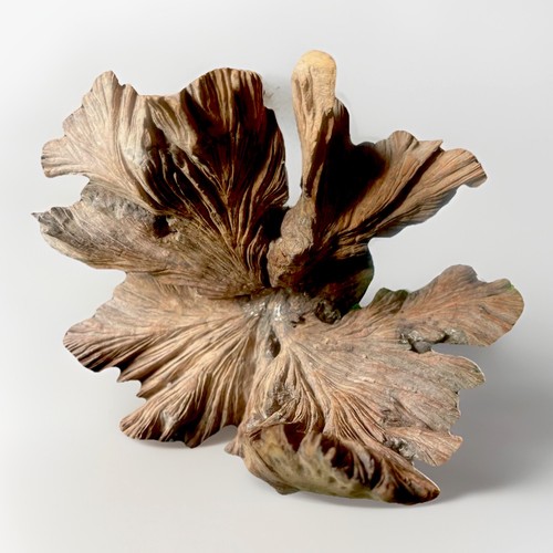 Natürliche Blumen Blume Holzschnitzerei Couchtisch Wohndeko - Bild 6 von 16