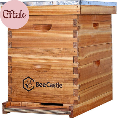 10-Frames Complete Beehive Kit, 100% Beeswax Coated Bee Hive Includes Beehive Fr