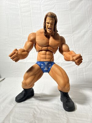 WWE WWF トリプルH フィギュア Ring Giants Series 2005 WWE Ring Giants HHH DX Triple H Movable Wrester 14