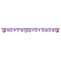 Frozen Elsa Happy Birthday Banner Wimpel MäDchen Rosa Kinder Party Dekoration