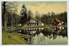 Ansichtskarte Bunzlau Schlesien Partie am Waldschloß 1907