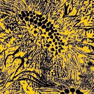 Vinile - Amanda Whiting - Little Sunflower  - Jazzman -D- Neu