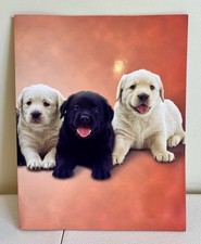 VTG 2005 Mead Purrs & Grrrs Folder Labrador Puppies Dogs Rare Y2K Made in USA