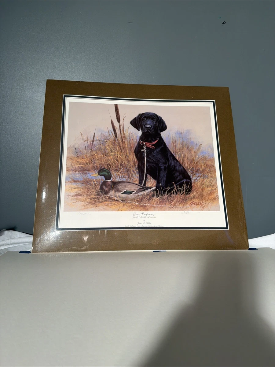 James Killen Prints for sale | eBay