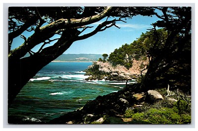 Postcard: CA Point Lobos State Reserve, Carmel, California - Unposted