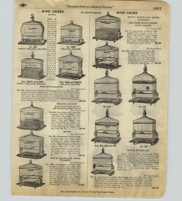 1918 PAPER AD 4 PG Hendryx Bird Cages Cage Parrot Canary Robin Squirrel