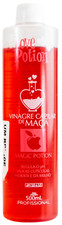Brazilian Magic Potion Apple Capillary Vinegar Treatment 500ml - Love Potion