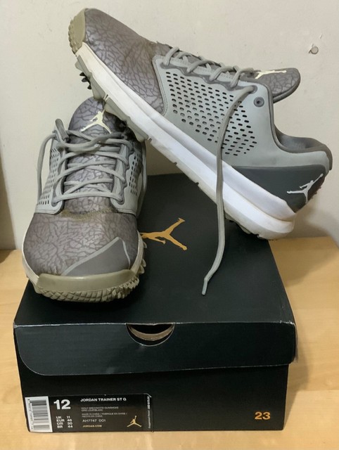 jordan trainer st g wolf grey