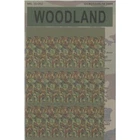 1/35 WOODLAND Camouflage Decal CrossDelta 35-002 PLAMODEL INFANTRY DECAL