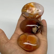 218.9g, 1.9"-2.1", 3pcs, Red Carnelian Palm-Stone Gem Crystal Polished, B37636